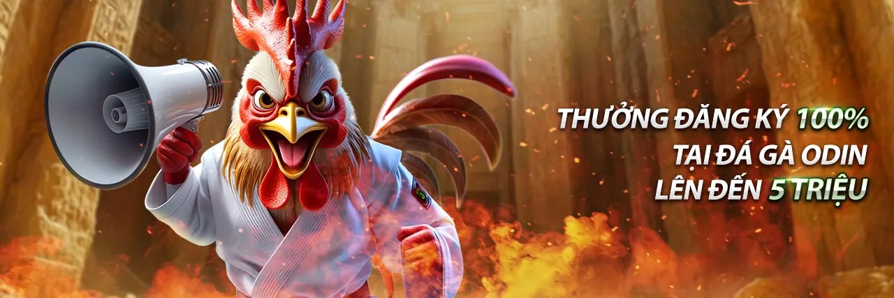 Biểu ngữ Chính sách Cookie của a lo 789